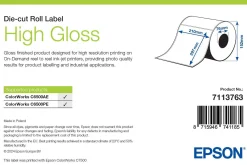 High Gloss Label, Die-Cut Roll, 210mm x 297mm, 194 Labels